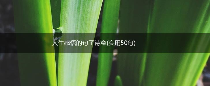 人生感悟的句子诗意(实用50句),第1张