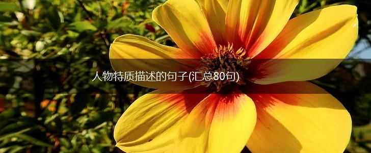 人物特质描述的句子(汇总80句),第1张