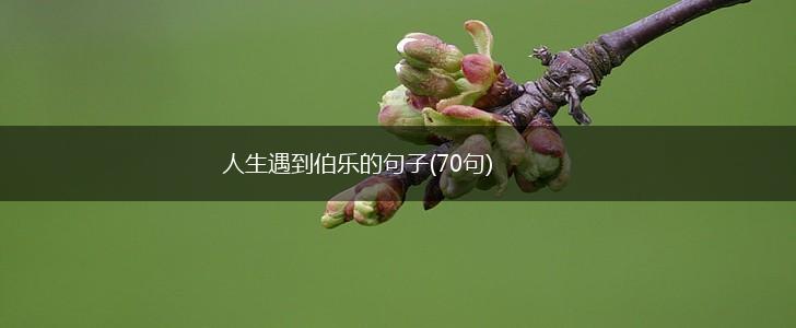 人生遇到伯乐的句子(70句),第1张