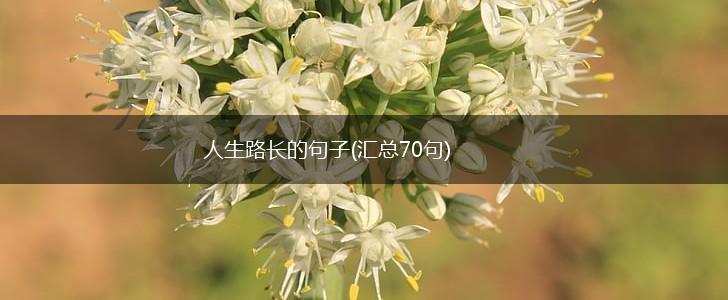 人生路长的句子(汇总70句),第1张