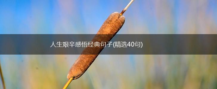 人生艰辛感悟经典句子(精选40句),第1张