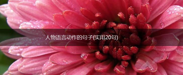 人物语言动作的句子(实用20句),第1张