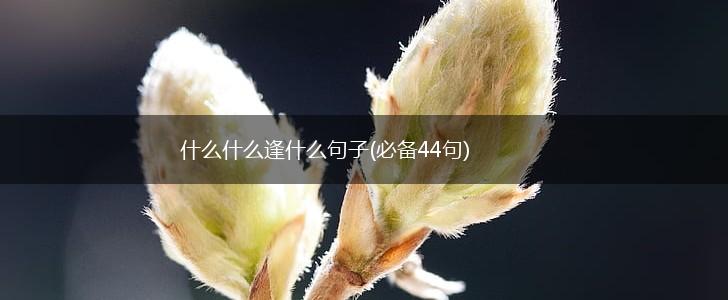 什么什么逢什么句子(必备44句),第1张
