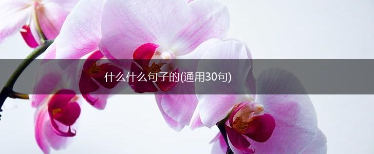 什么什么句子的(通用30句),第1张
