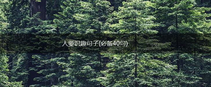 人要识趣句子(必备40句),第1张