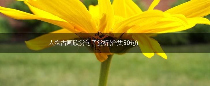 人物古画欣赏句子赏析(合集50句),第1张