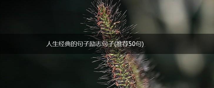 人生经典的句子励志句子(推荐50句),第1张