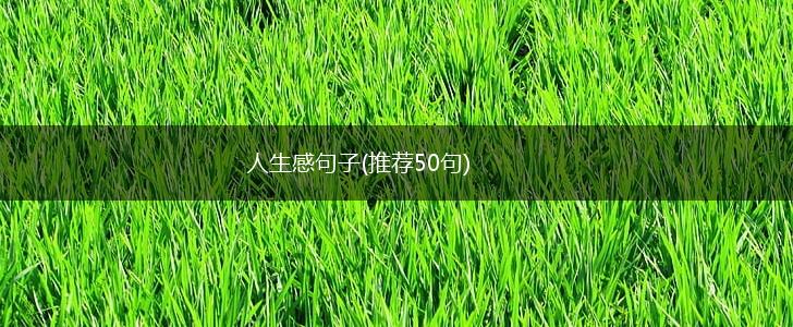 人生感句子(推荐50句),第1张