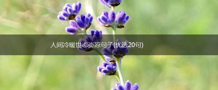 人间冷暖世态炎凉句子(优选20句),第1张