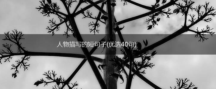 人物描写的短句子(优选40句),第1张