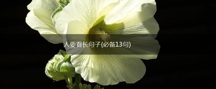 人要看长句子(必备13句),第1张