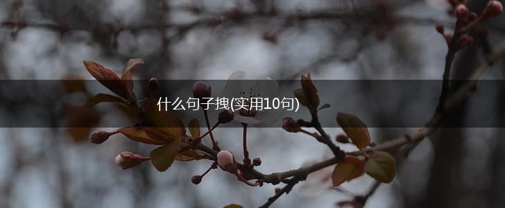 什么句子拽(实用10句),第1张