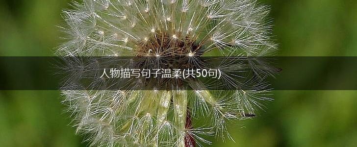 人物描写句子温柔(共50句),第1张