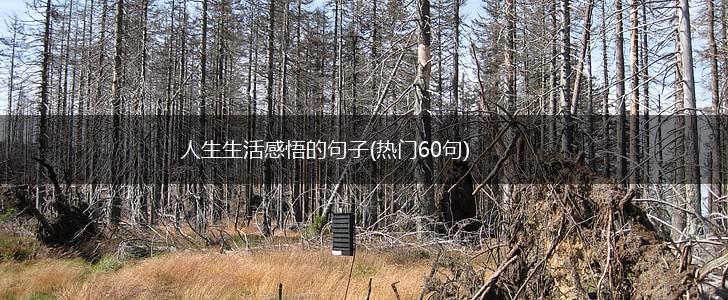 人生生活感悟的句子(热门60句),第1张