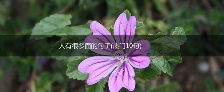人有很多面的句子(热门10句),第1张