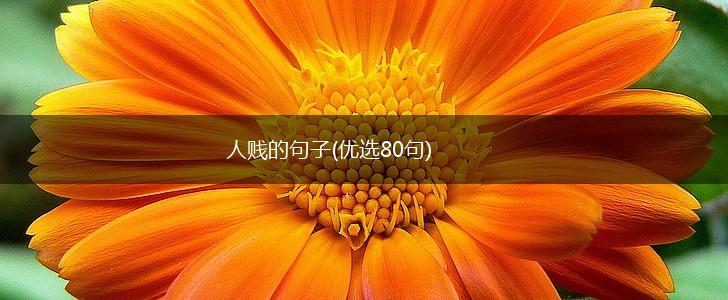人贱的句子(优选80句),第1张