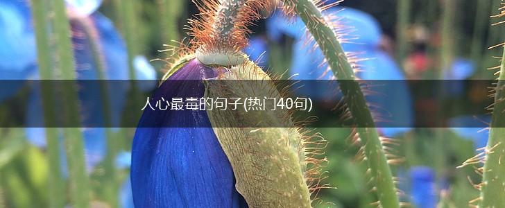 人心最毒的句子(热门40句),第1张