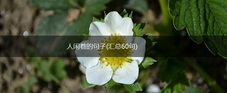 人闲着的句子(汇总60句),第1张