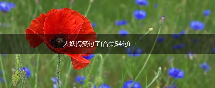 人妖搞笑句子(合集54句),第1张