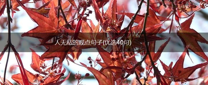 人无私的观点句子(优选40句),第1张