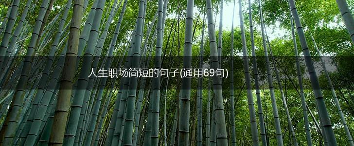 人生职场简短的句子(通用69句),第1张