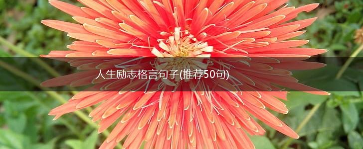 人生励志格言句子(推荐50句),第1张