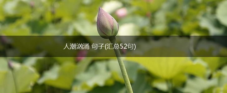 人潮汹涌 句子(汇总52句),第1张