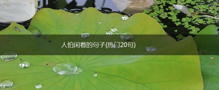 人怕闲着的句子(热门20句),第1张