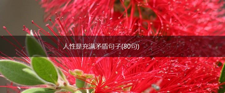 人性是充满矛盾句子(80句),第1张