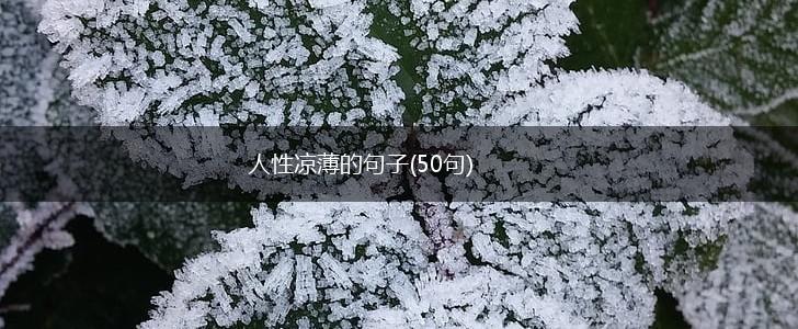 人性凉薄的句子(50句),第1张