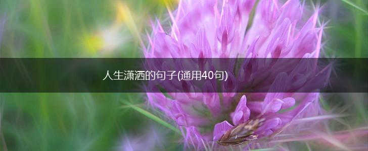 人生潇洒的句子(通用40句),第1张