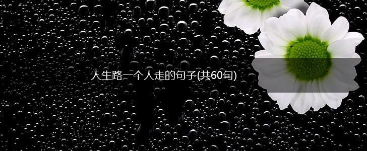 人生路一个人走的句子(共60句),第1张