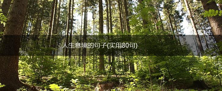 人生意境的句子(实用80句),第1张