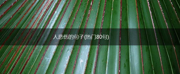 人悲伤的句子(热门80句),第1张
