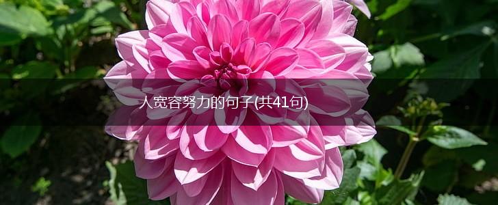 人宽容努力的句子(共41句),第1张