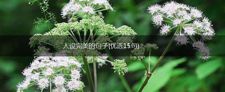 人设完美的句子(优选15句),第1张