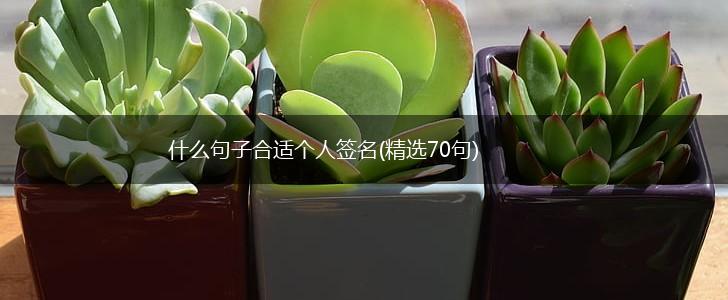什么句子合适个人签名(精选70句),第1张
