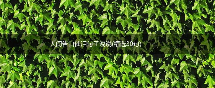 人间告白催泪句子说说(精选30句),第1张