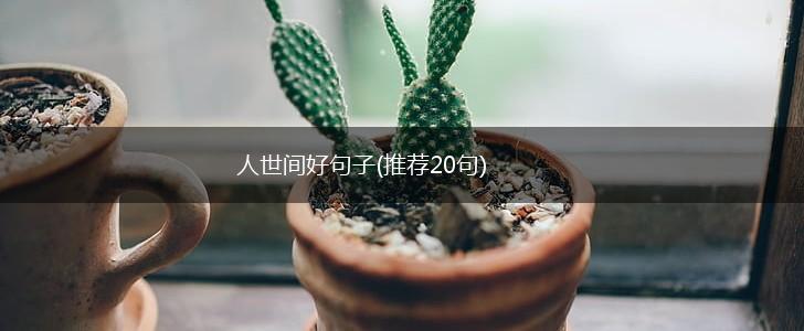 人世间好句子(推荐20句),第1张