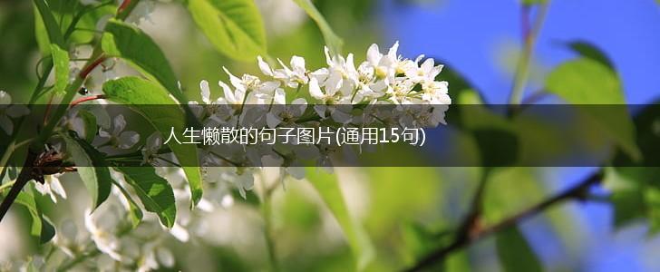 人生懒散的句子图片(通用15句),第1张