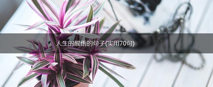 人生的醒悟的句子(实用70句),第1张