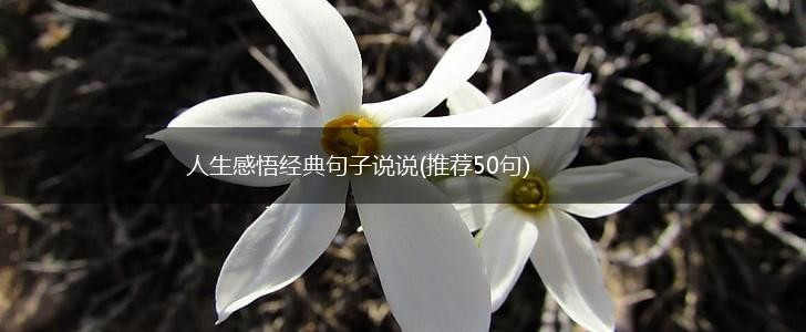 人生感悟经典句子说说(推荐50句),第1张
