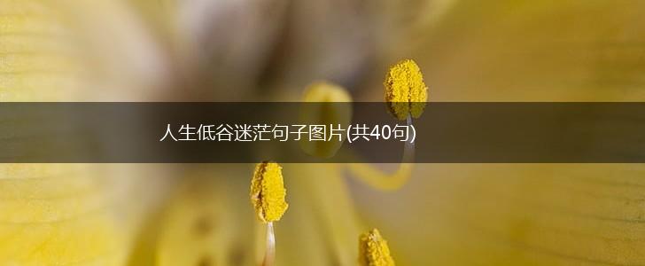 人生低谷迷茫句子图片(共40句),第1张