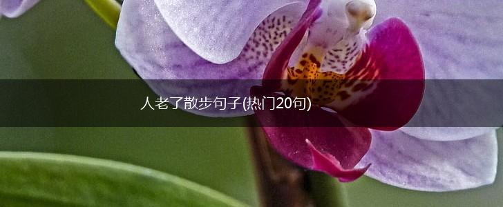 人老了散步句子(热门20句),第1张
