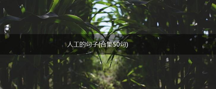 人工的句子(合集50句),第1张