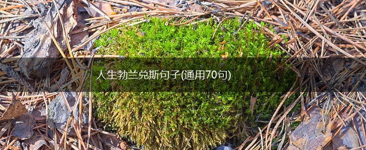 人生勃兰兑斯句子(通用70句),第1张