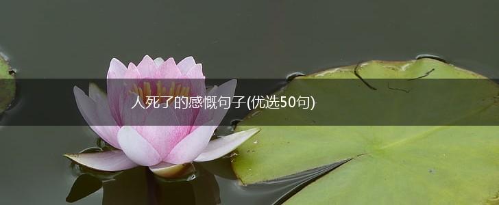 人死了的感慨句子(优选50句),第1张