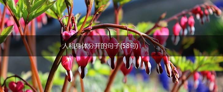 人和身体分开的句子(58句),第1张