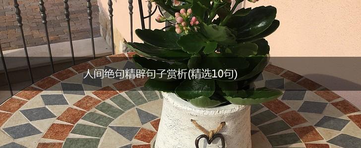 人间绝句精辟句子赏析(精选10句),第1张