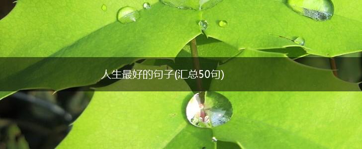 人生最好的句子(汇总50句),第1张